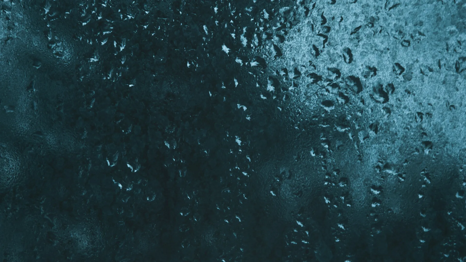raindrops