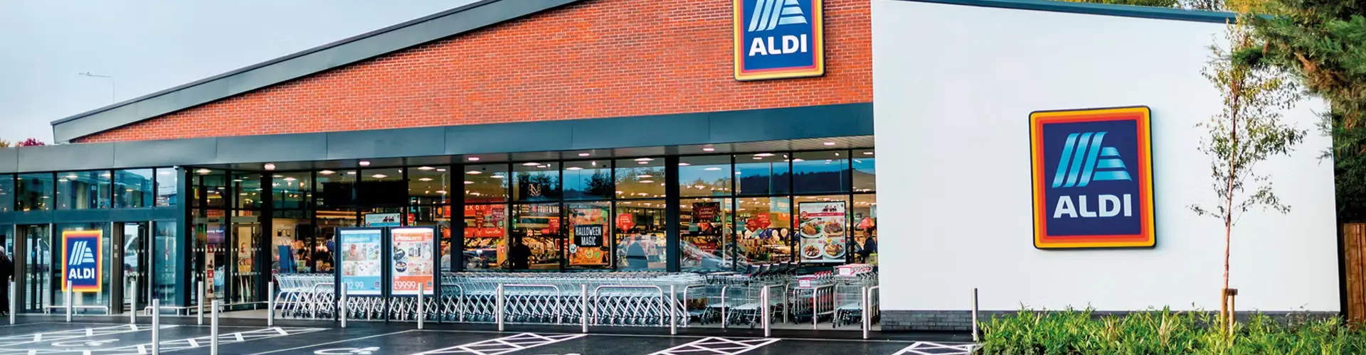 Aldi cover